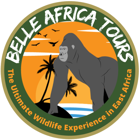Belle Africa Tours