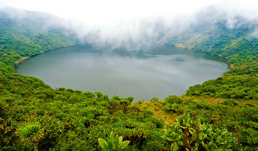 Climbing Mount Bisoke in Rwanda