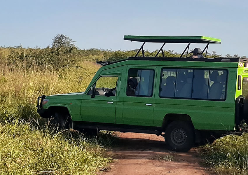 Safari Car Hire